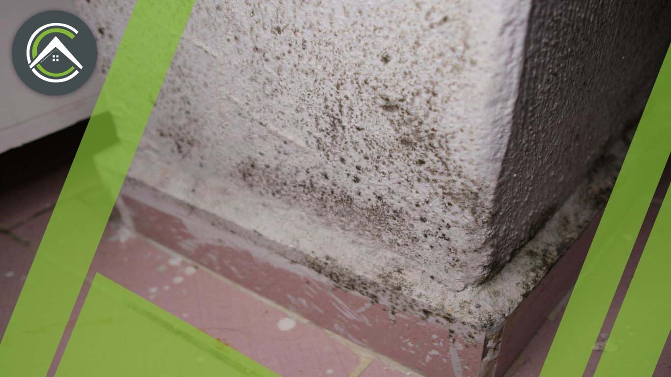 Mold Resistant Insulation For Basement