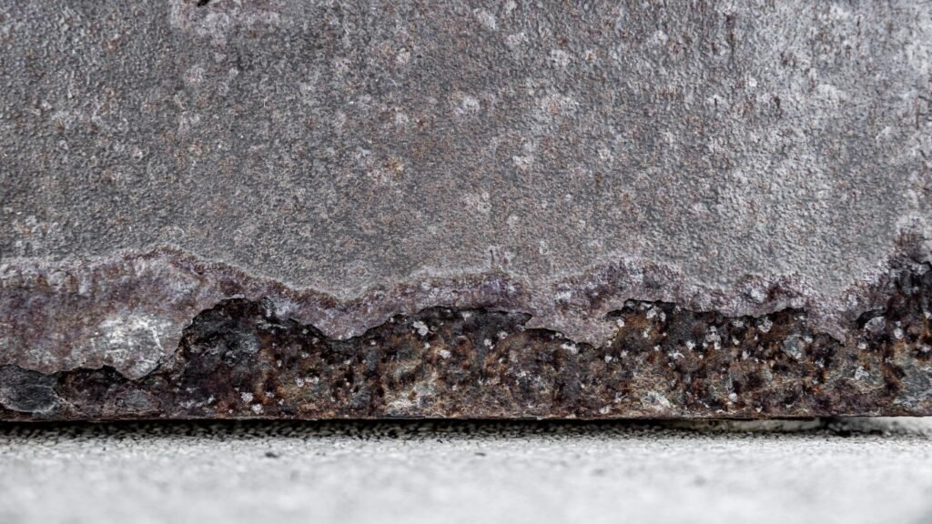 mold resistant insulation for basement