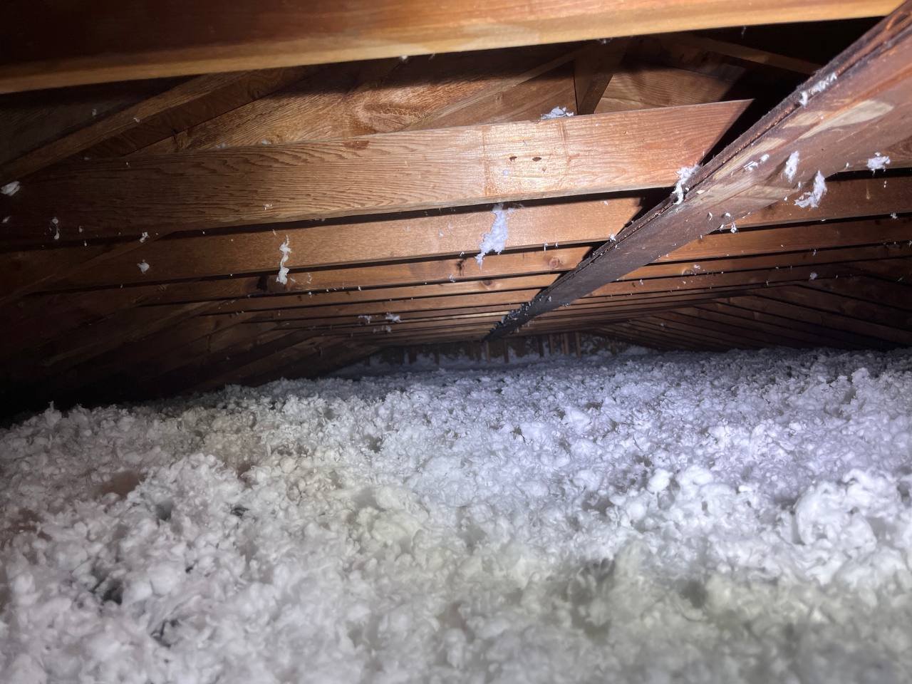 photo_2_2024-06-17_12-32-58