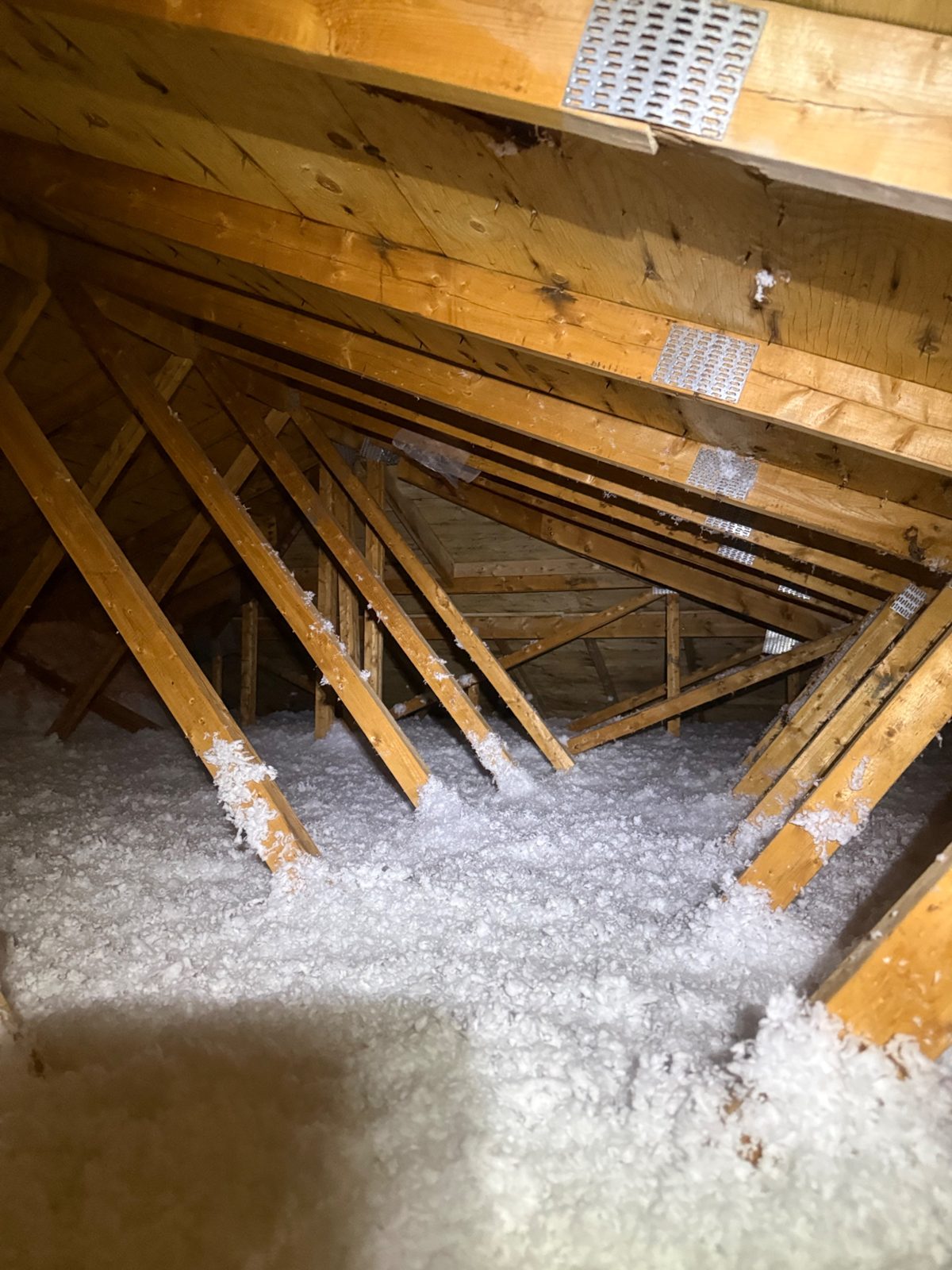 North York — Willowdale attic case study