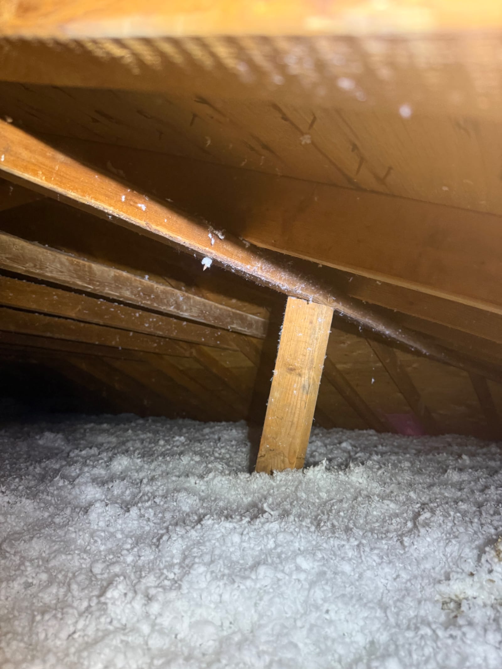 Full coverage right to the eaves, with the airflow path preserved.