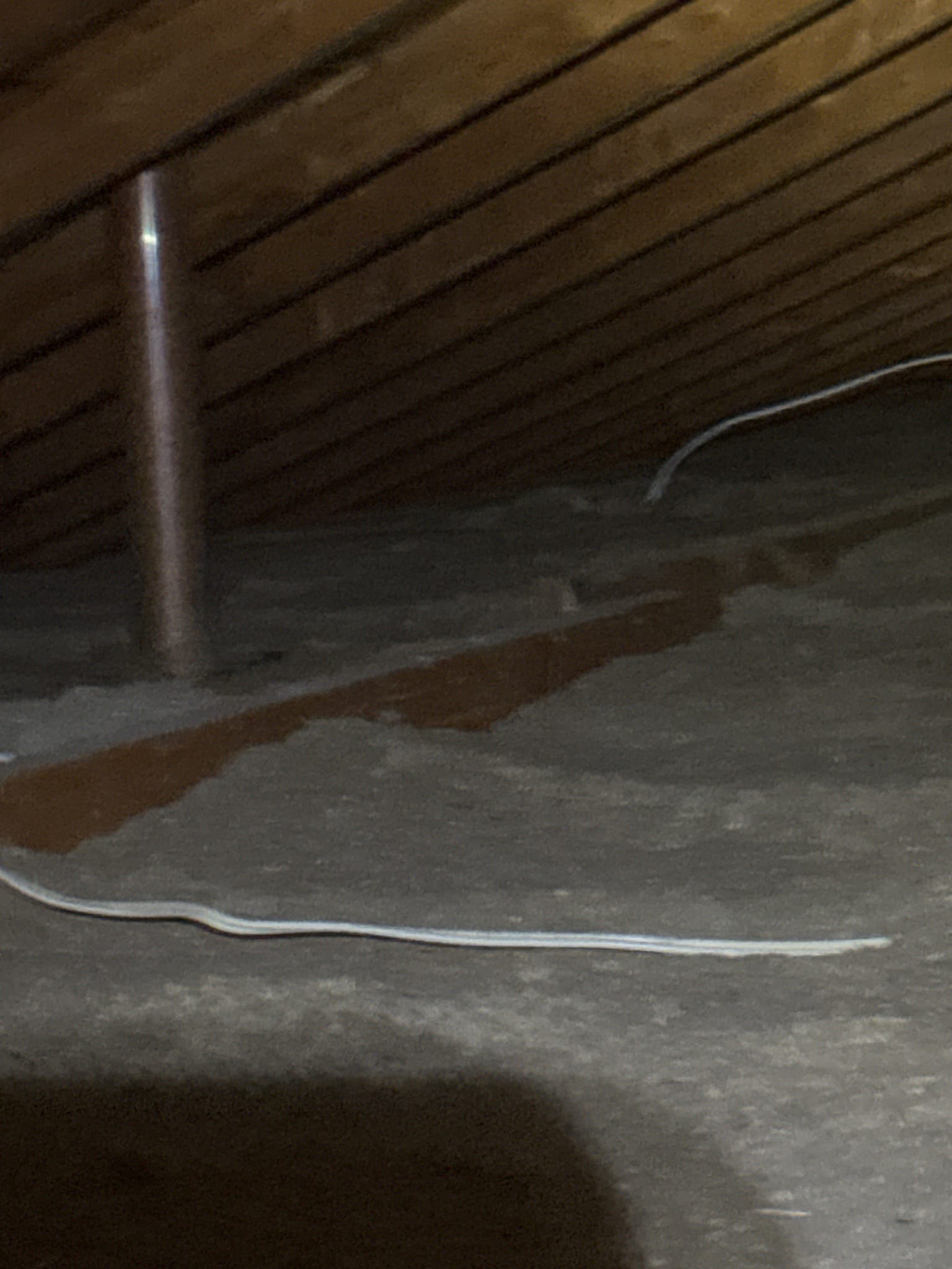 One of the ceiling penetrations found leaking — sealed before the blow.