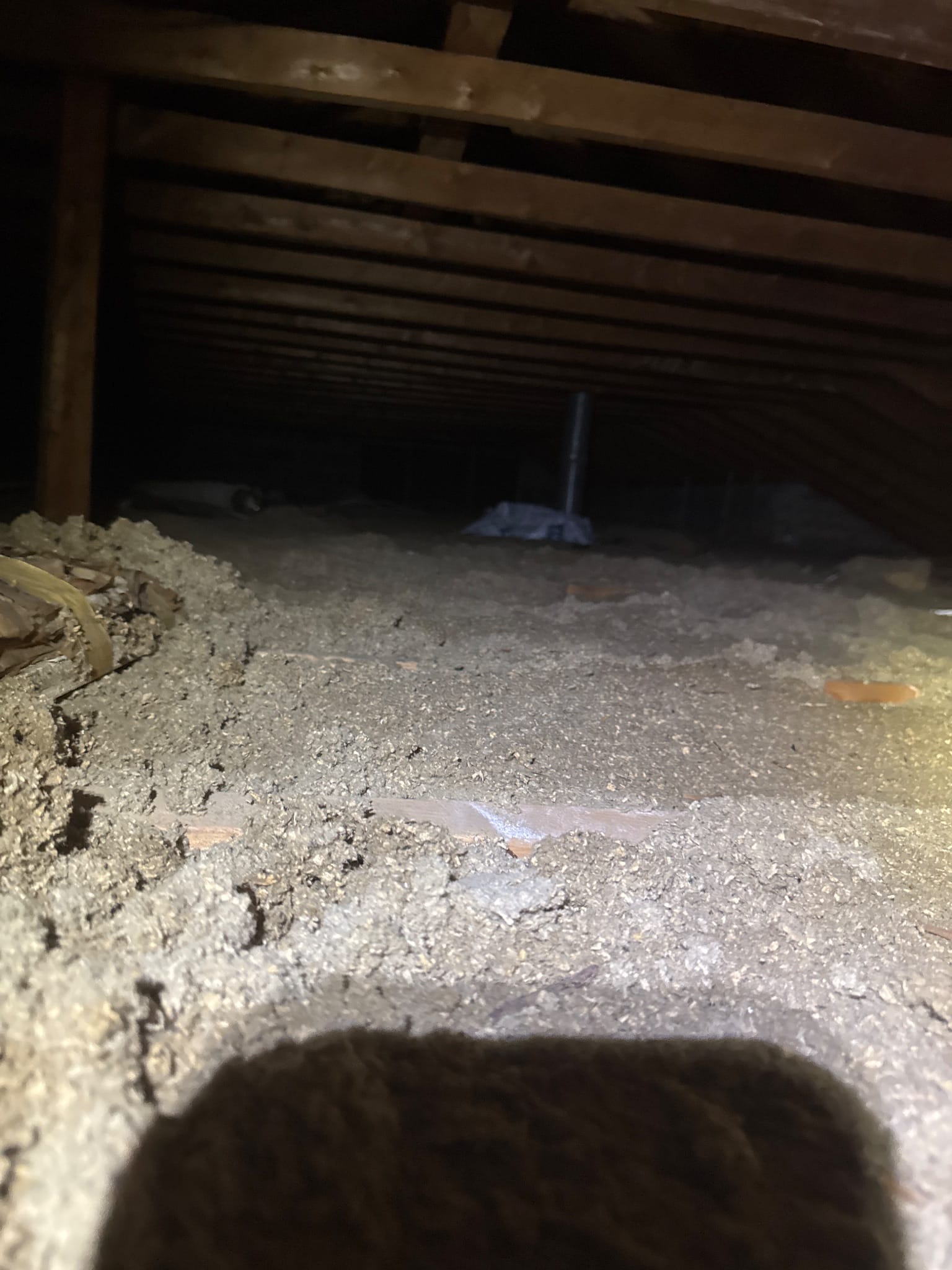 The before overview: even but thin, with joists breaking the surface.