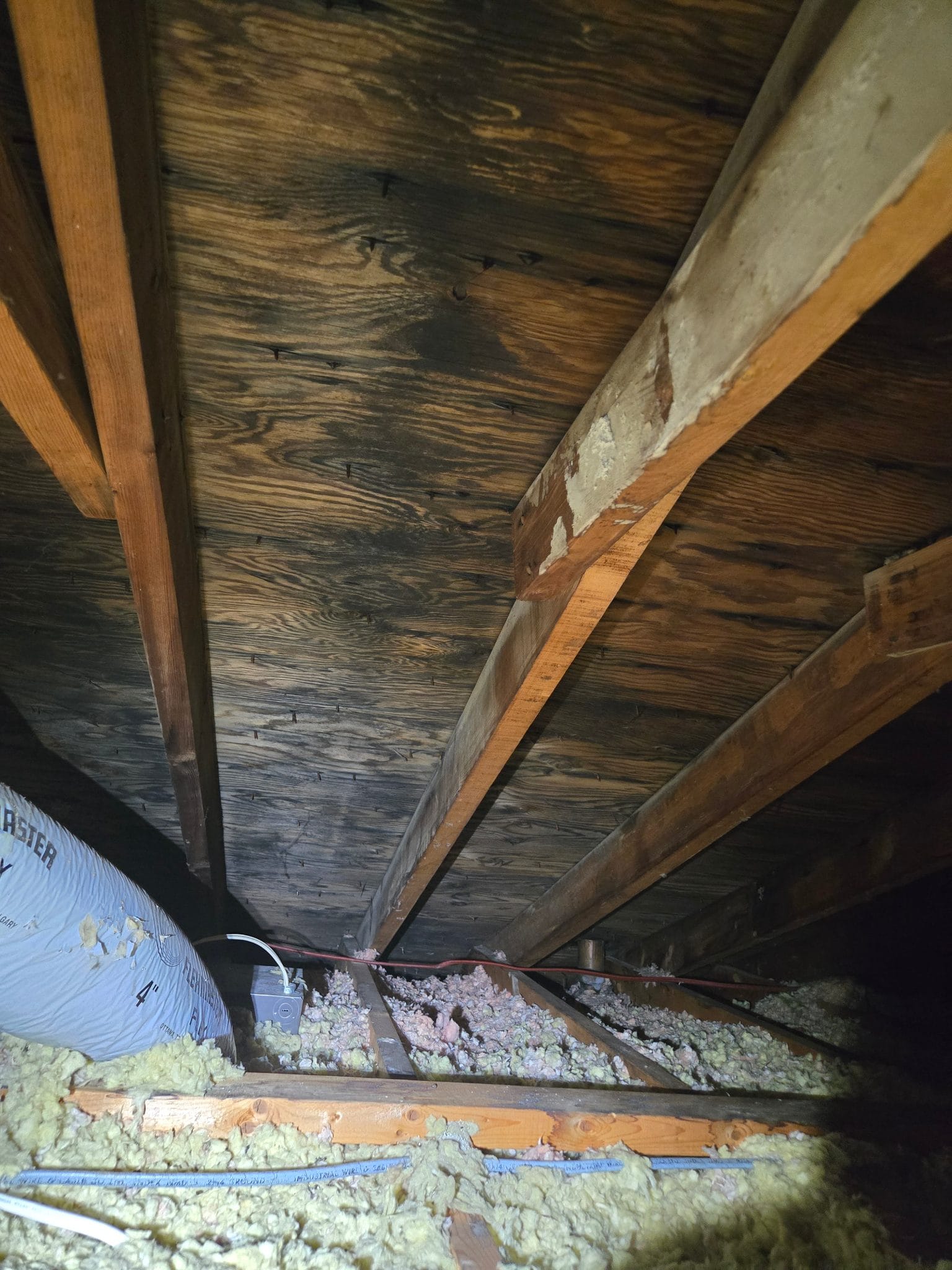 Staining across the sheathing — the flashlight find that changed the scope.