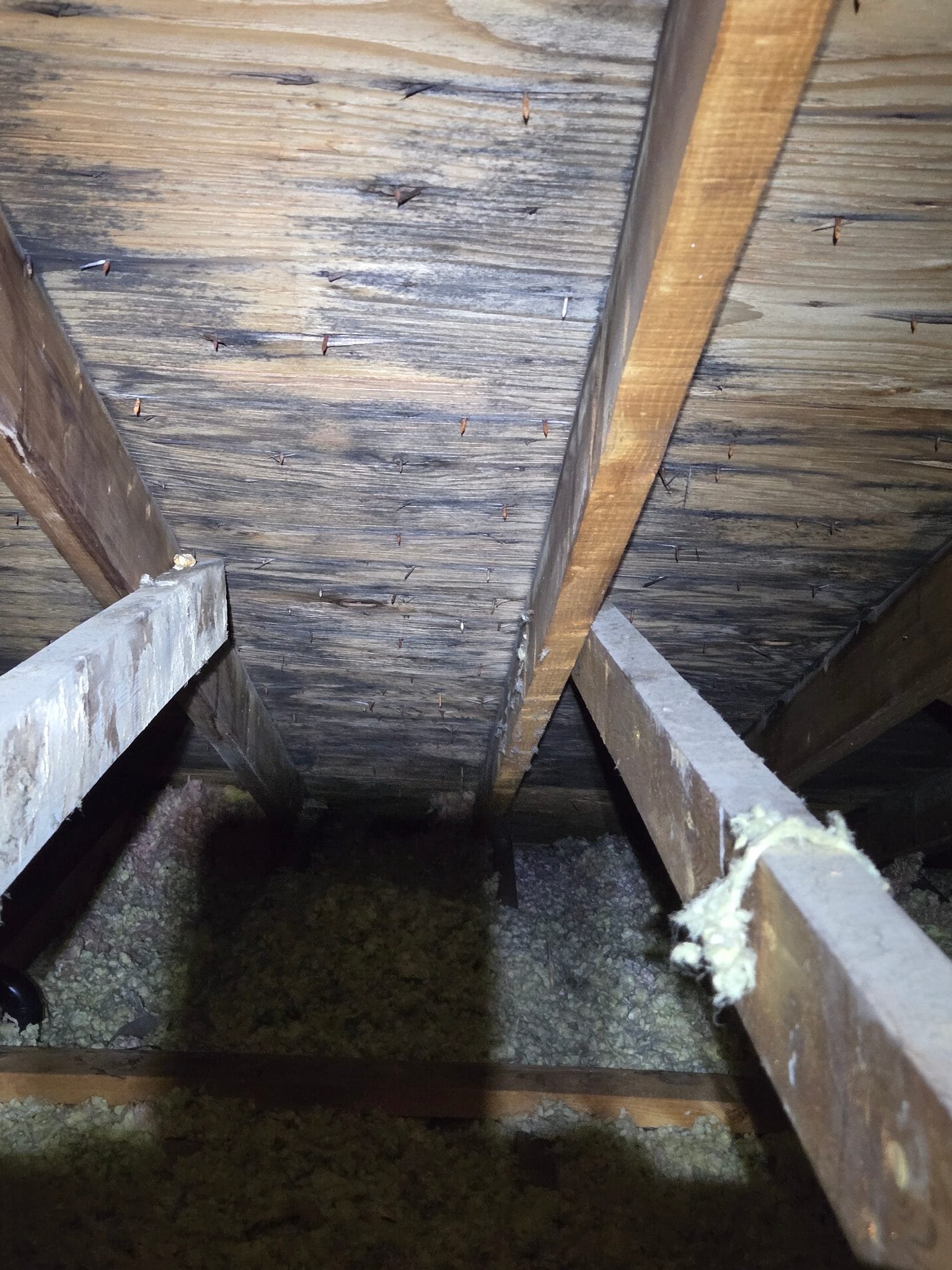 A second affected section: this wasn’t one damp corner.