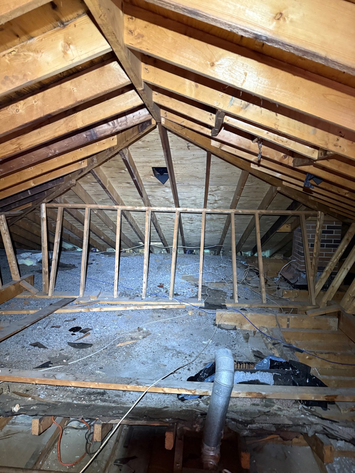 The whole 1,500 sq ft attic: bare joists and a dusting of debris — effectively zero insulation.