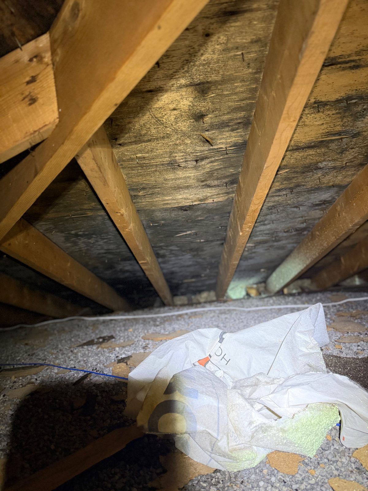 Toronto — Clanton Park attic case study