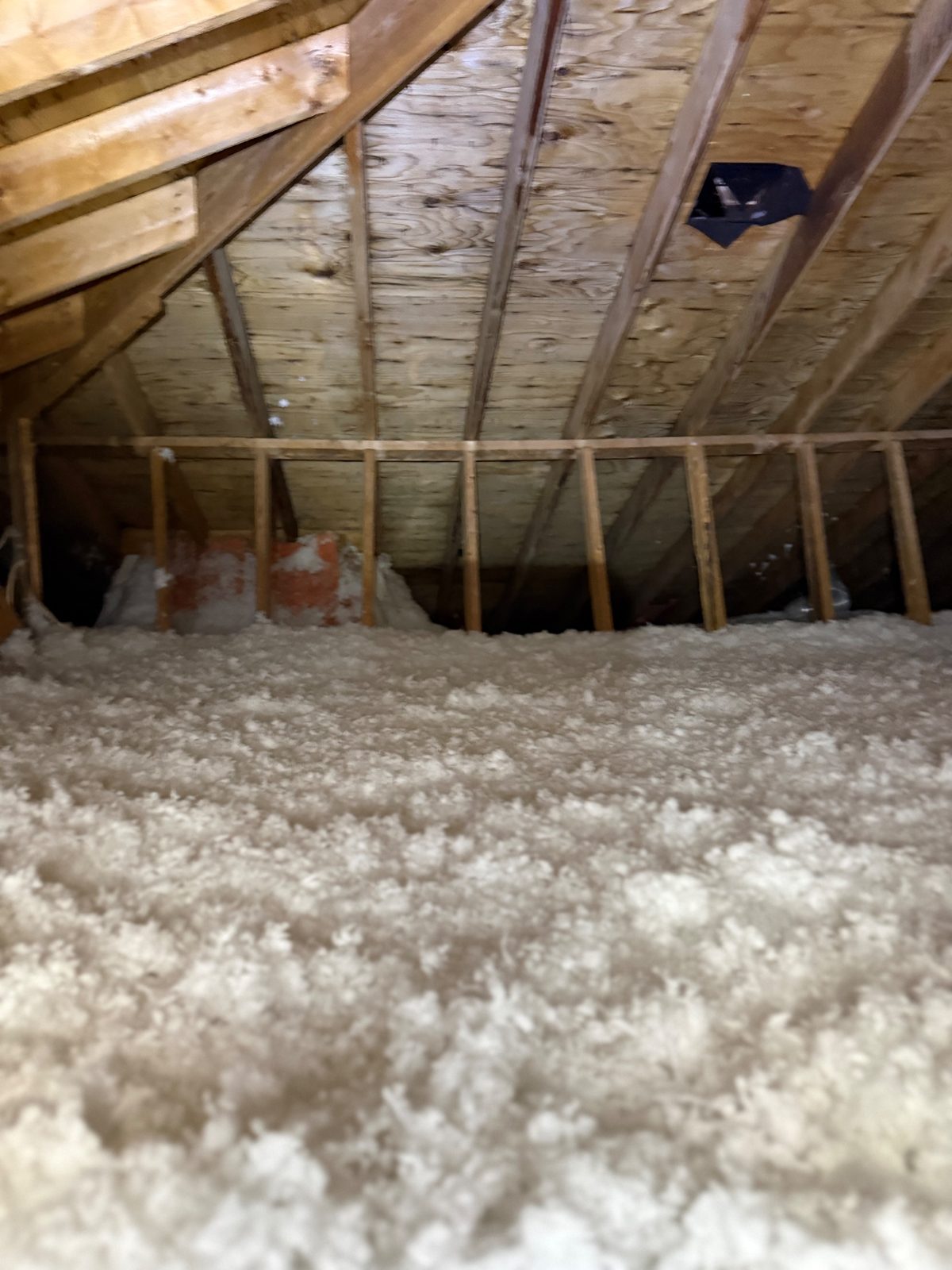 Wall-to-wall: 1,500 sq ft of deep, even coverage where there was nothing.