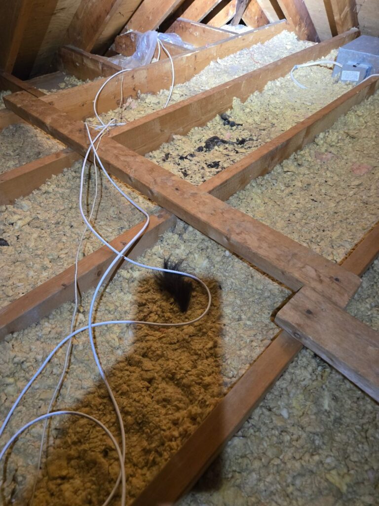 Nesting evidence: a clump of animal fur on a tunneled-out trench in the insulation, more droppings in the bay behind.