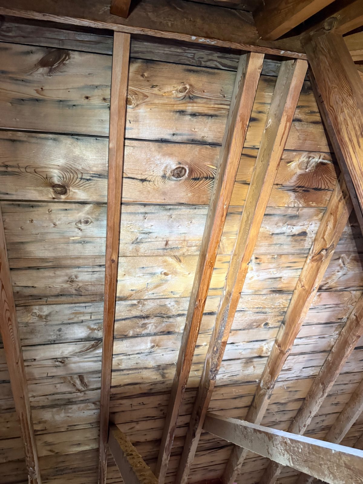 Toronto — Lawrence Park attic mold remediation — project photos