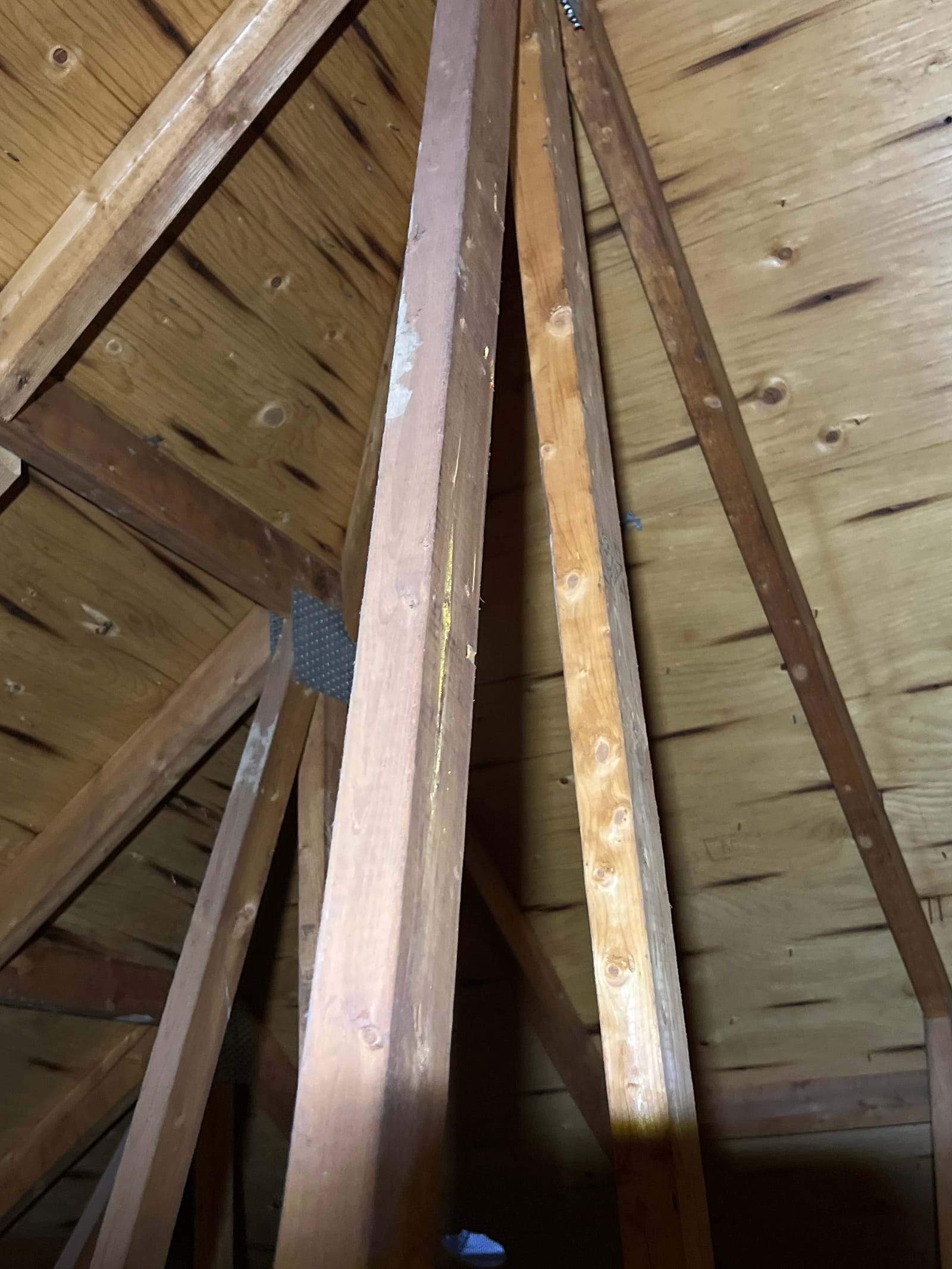 The staining forming on the sheathing &mdash; the reason ventilation work came first.