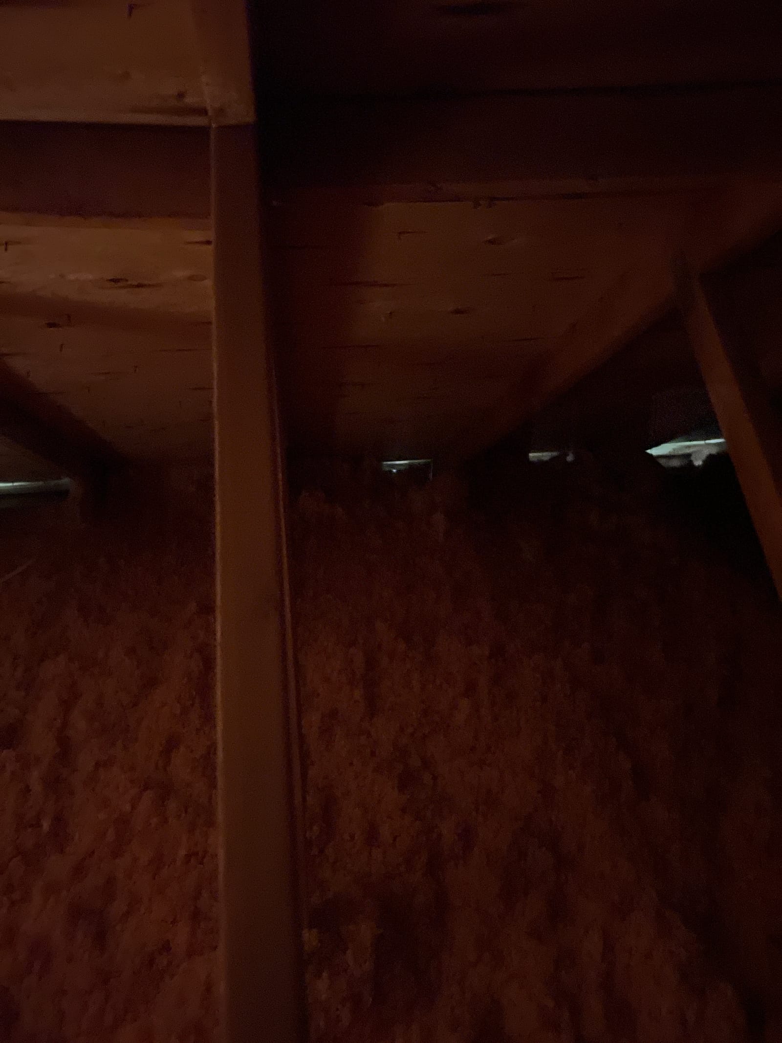 One of the blocked soffit bays &mdash; no intake air means no drying.