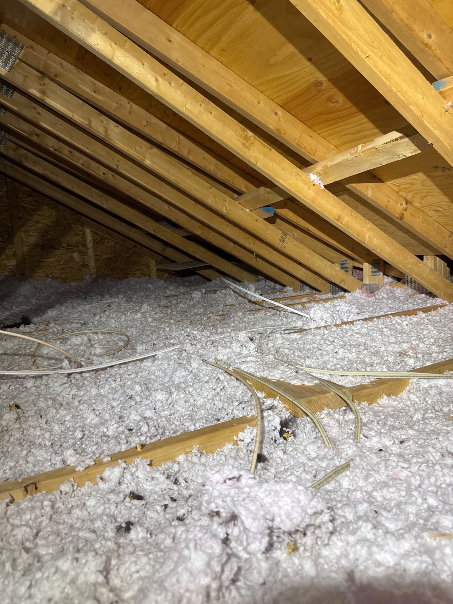 The before overview &mdash; joists visible through thin, wind-washed coverage.
