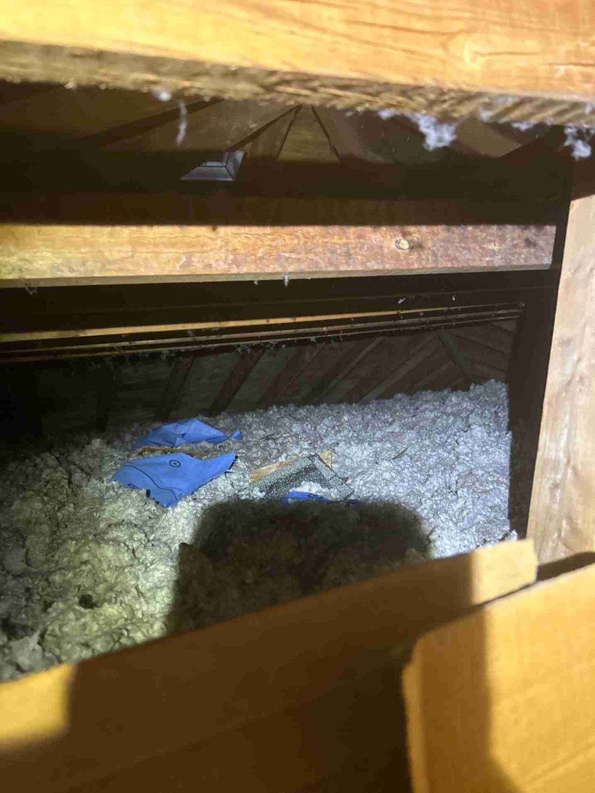 The view from the hatch: thin, patchy insulation with debris scattered across it.