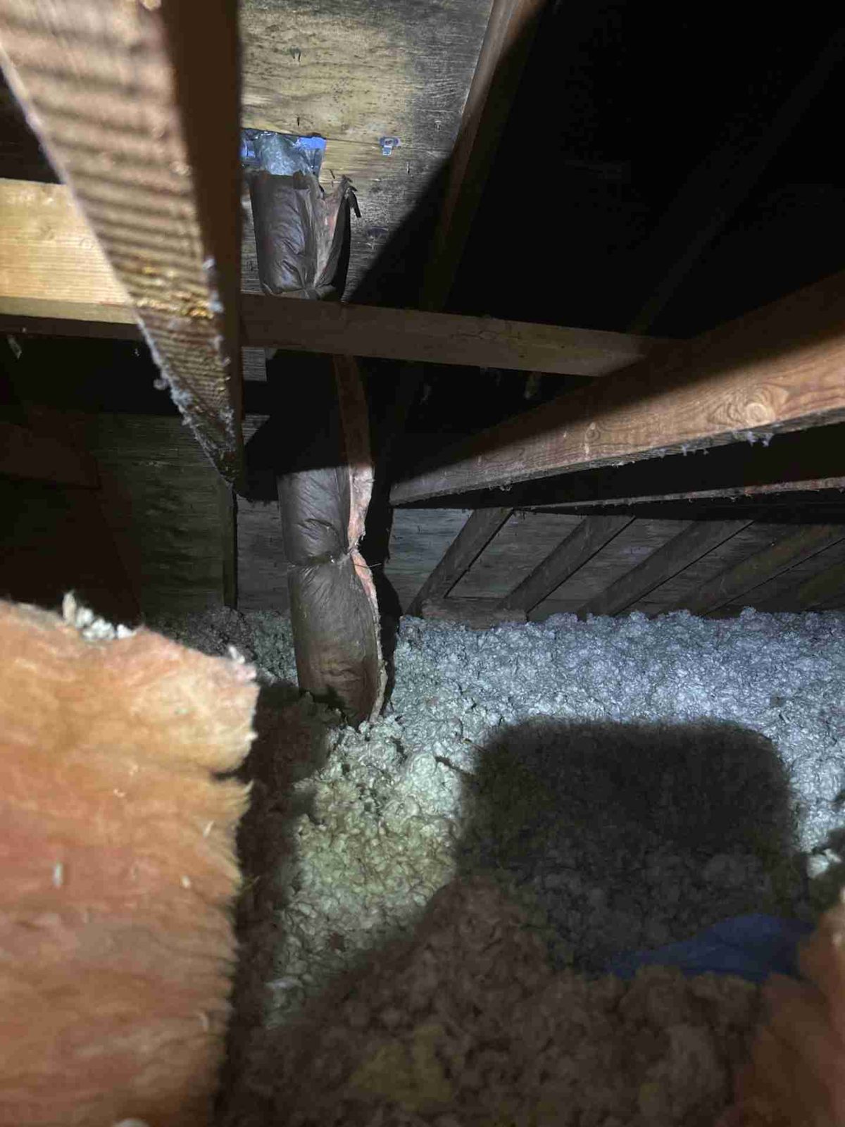 The smoking gun: an exhaust duct hanging loose in the attic, dumping shower moisture straight onto the wood.