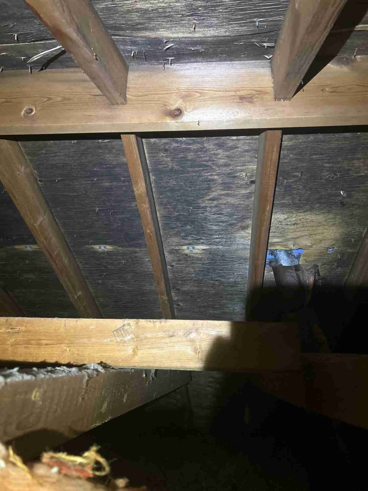 Mississauga attic case study
