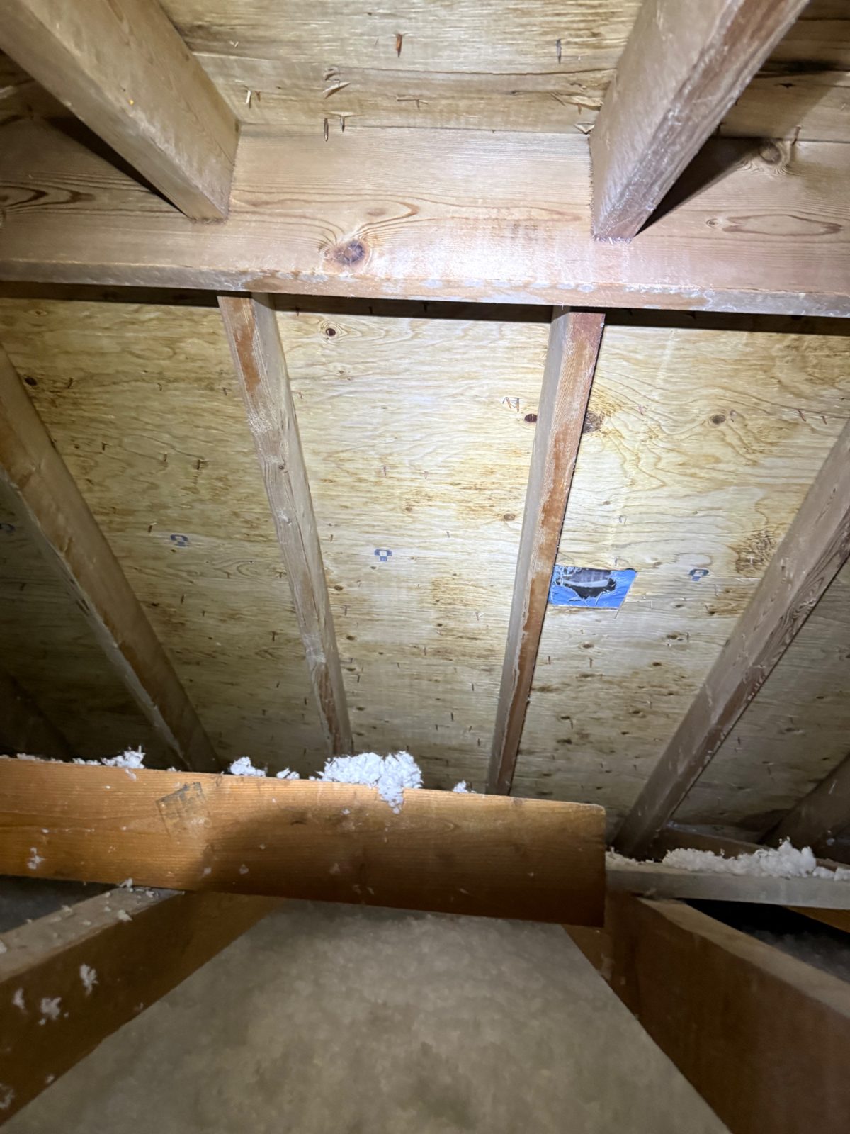 Step 2 &mdash; the same roof sheathing after our 3-stage mold remediation: cleaned, restored, and sealed against regrowth.