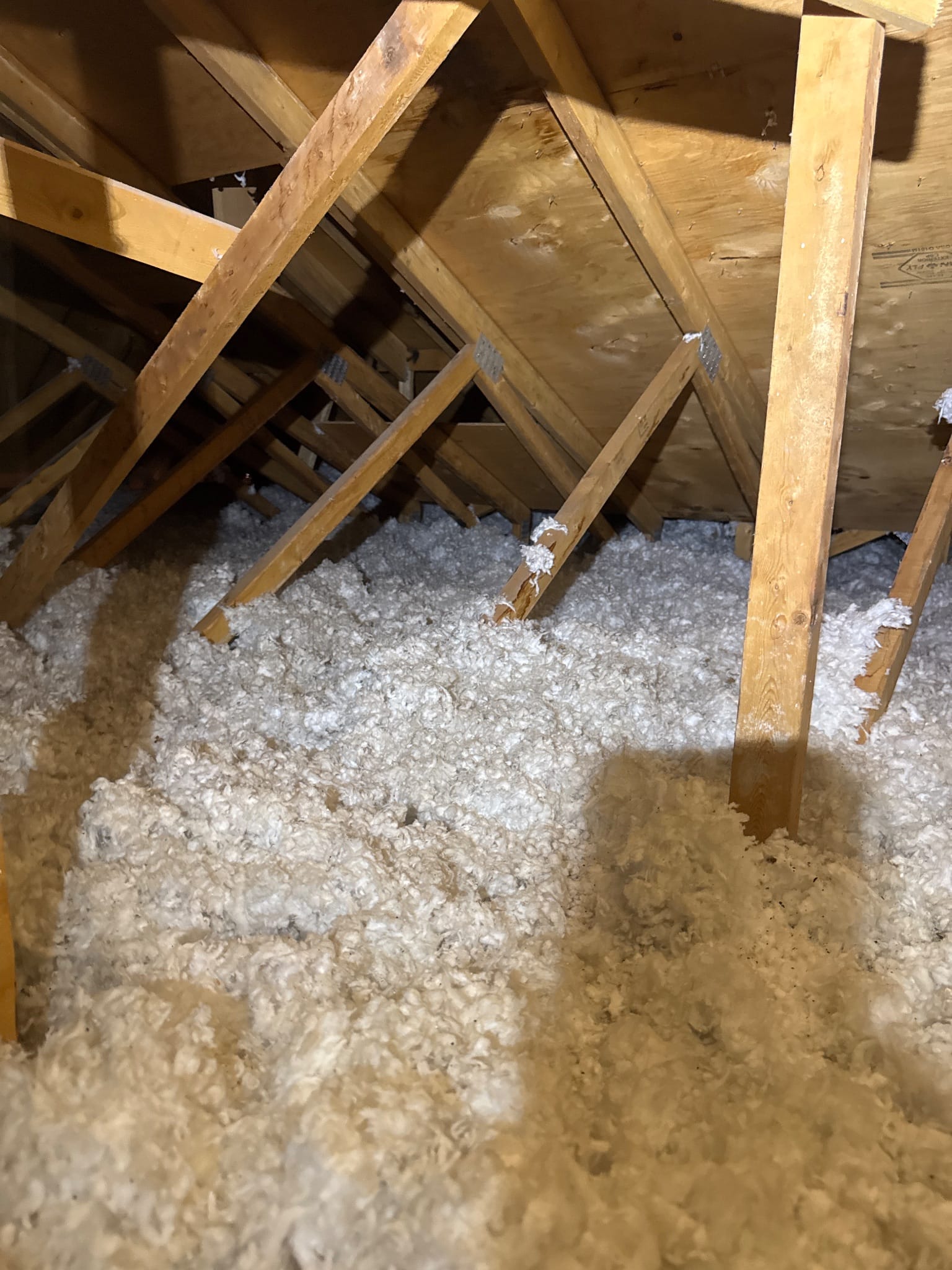 The before overview: clean and dry. When it looks like this, a top-up is the honest answer.