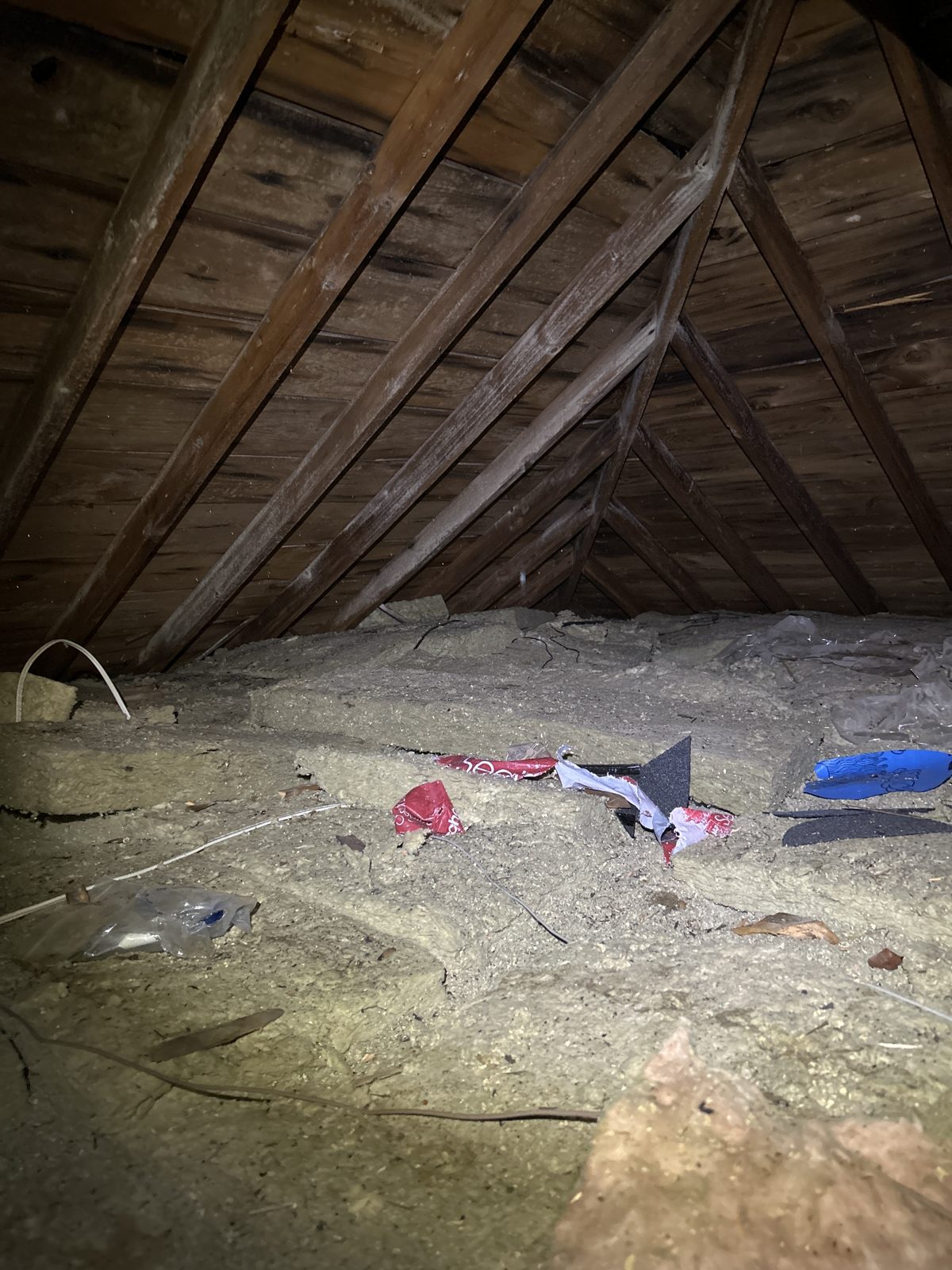 Construction debris and garbage embedded in the original insulation layer.