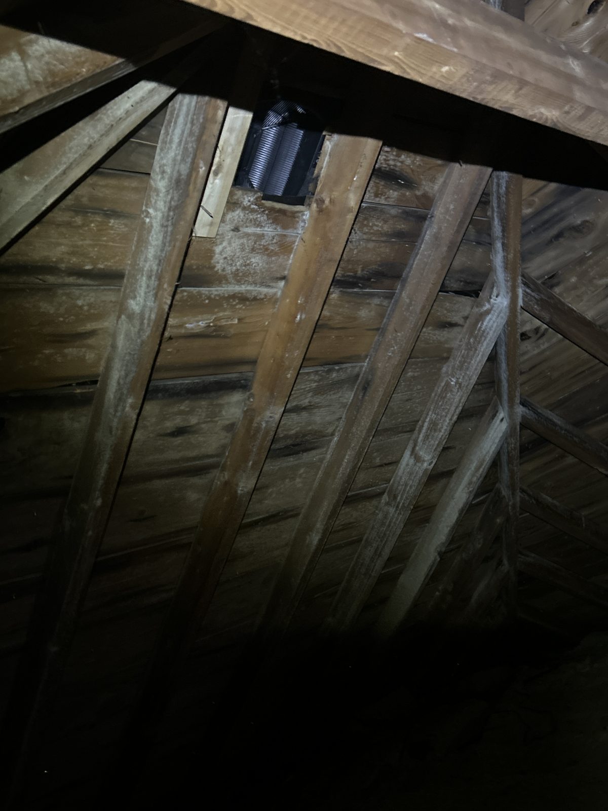 White bloom coating the framing — this is what years of trapped moisture look like.
