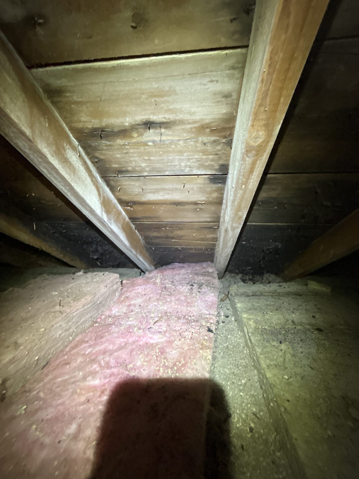 Down a rafter bay: staining on every board.