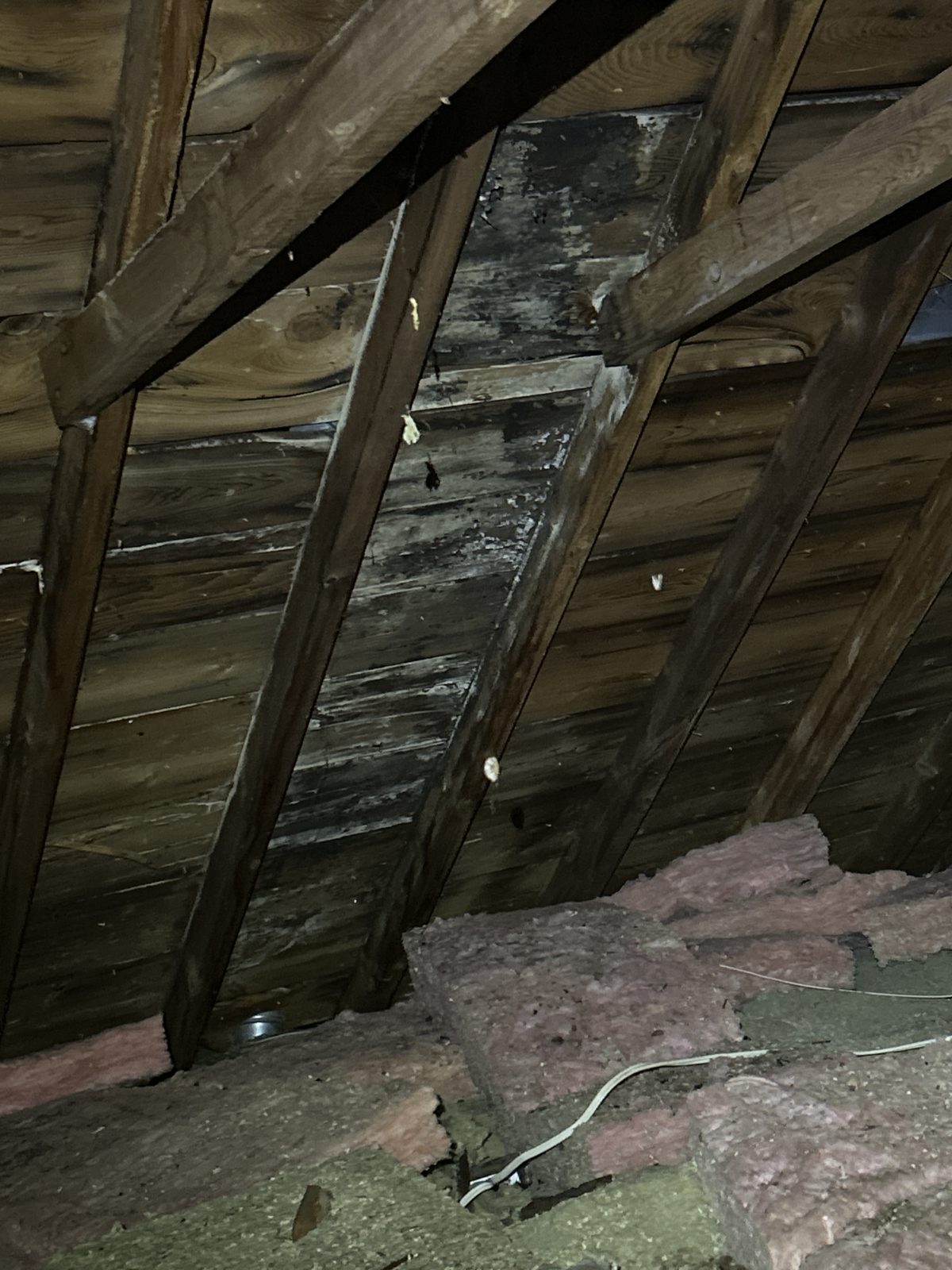 What blocked intake costs: dead airflow left this Scarborough roof deck staining with mold almost end to end.