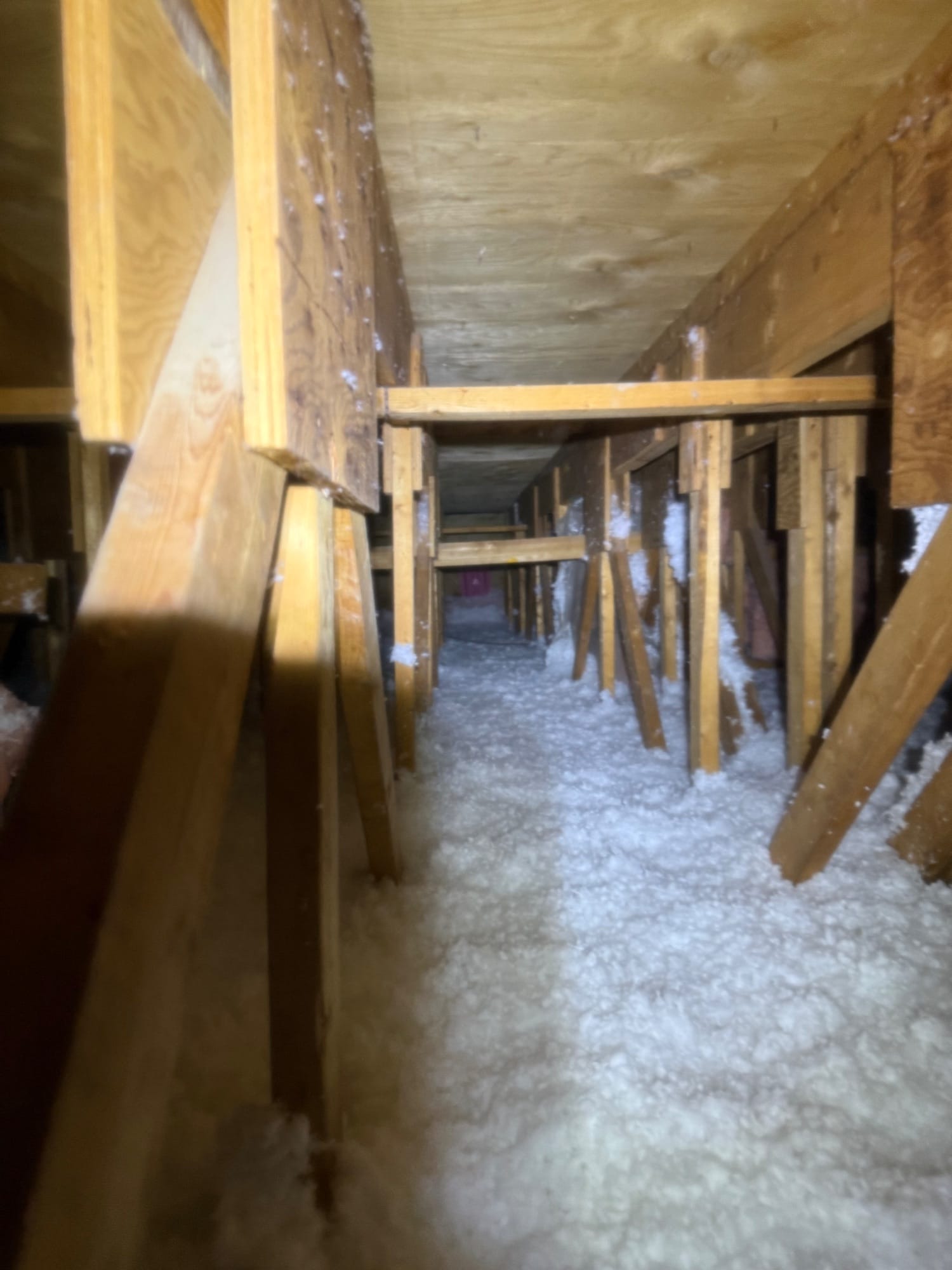 Toronto — Lytton Park attic case study
