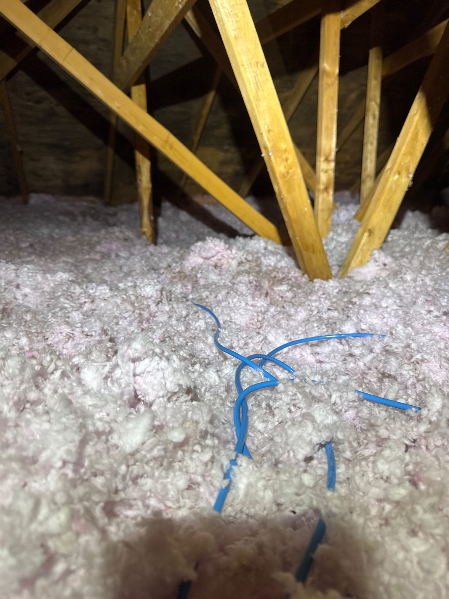 The before overview: settled coverage under a stained roof deck.