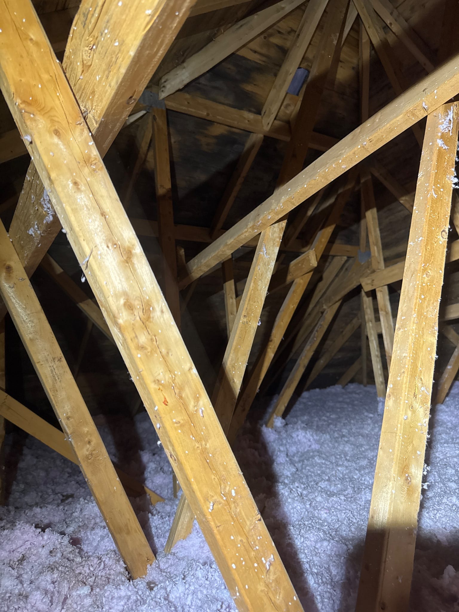 A second section of affected sheathing &mdash; the moisture had been at work for a while.