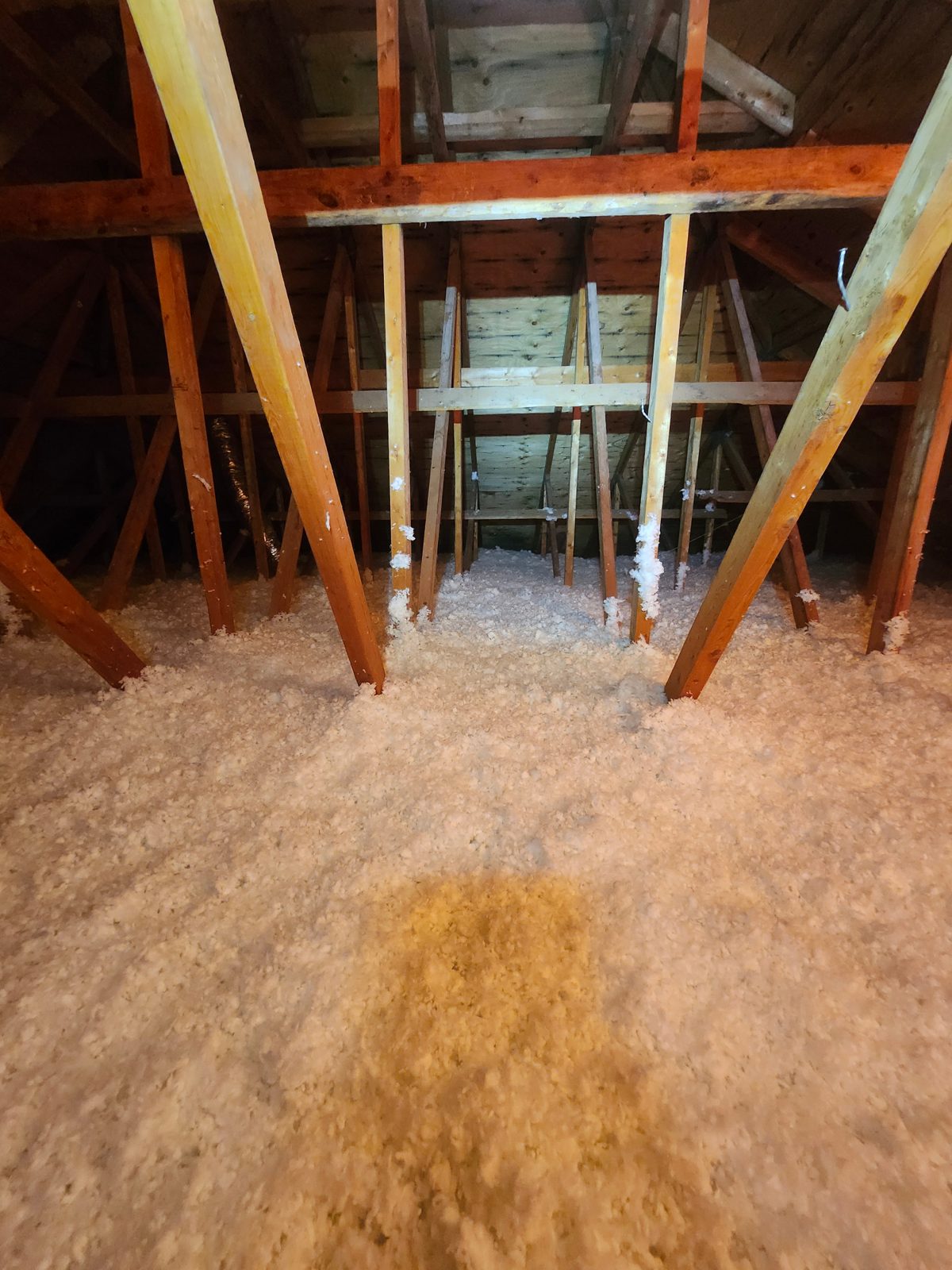 The finished attic: deep, even coverage across the full 1,400 sq ft truss field.